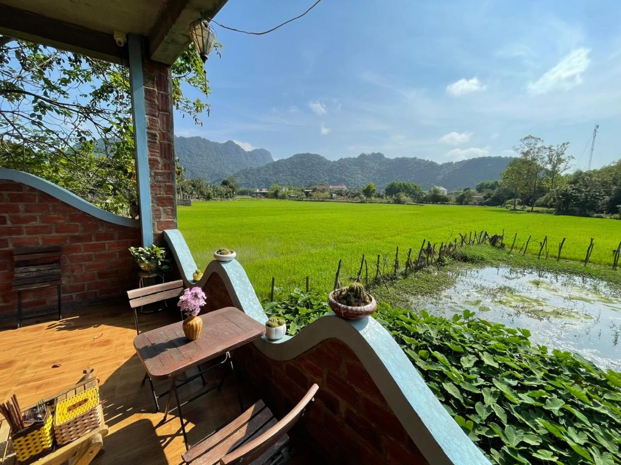 An An Homestay Bungalow Phong Nha Exterior foto