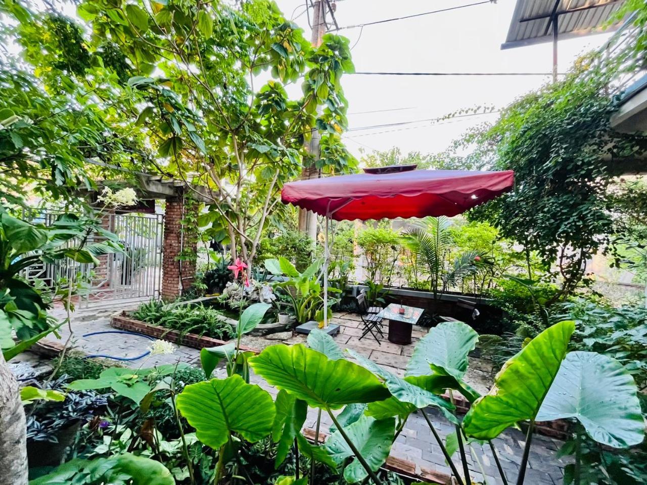 An An Homestay Bungalow Phong Nha Exterior foto