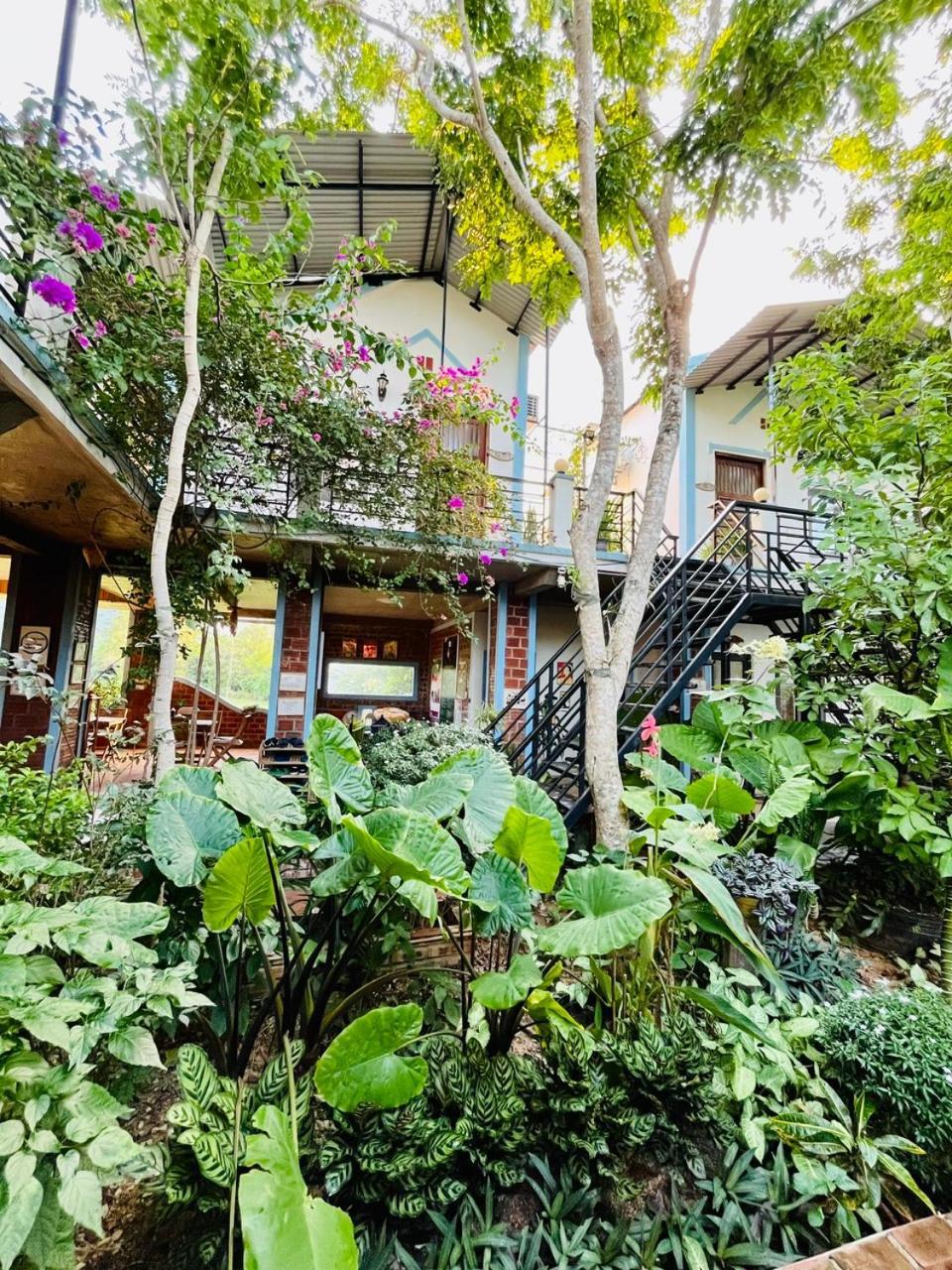 An An Homestay Bungalow Phong Nha Exterior foto